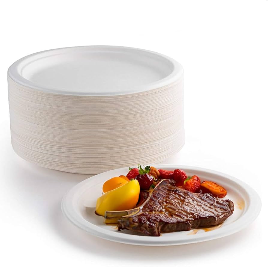 BAGASSE PLATE -10 INCH ROUND WHITE-CARTON OF 500 PCS