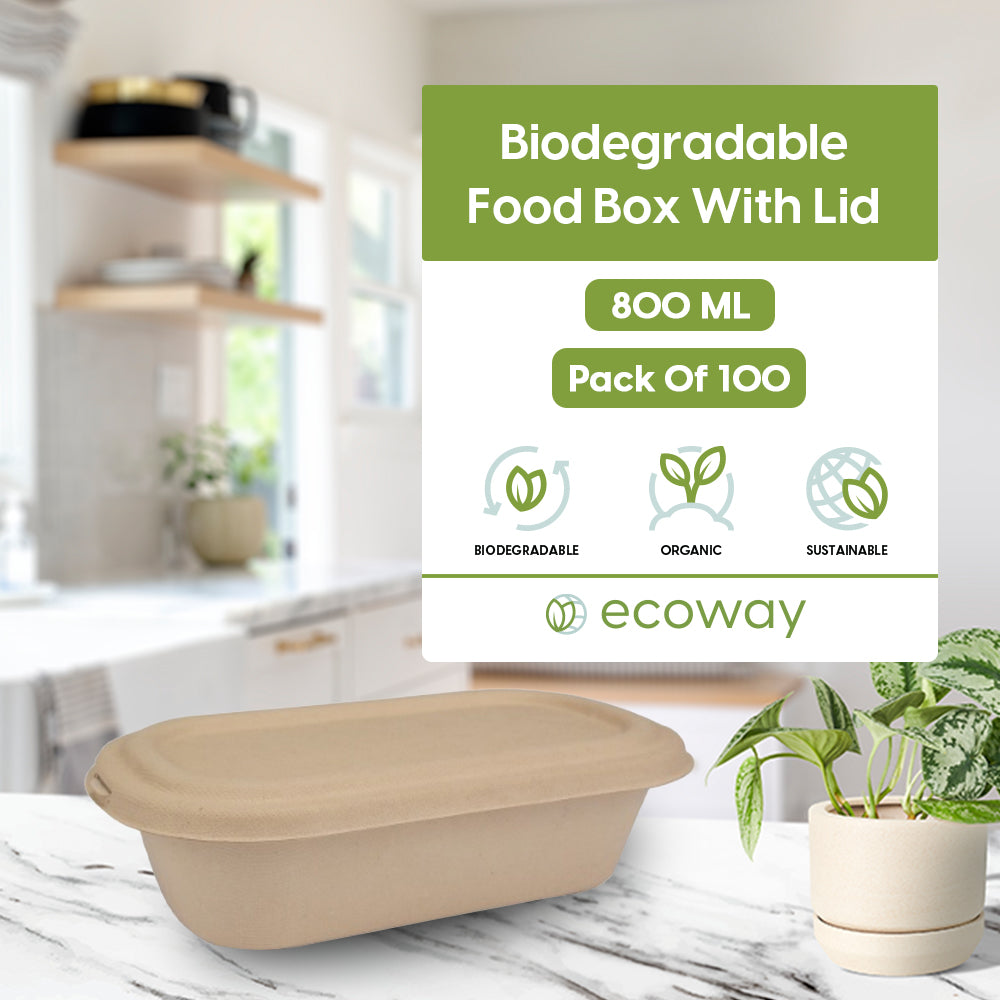 BAGASSE 800 ML FOOD BOX WITH LID WHITE