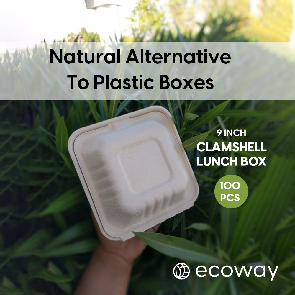 BAGASSE CLAMSHELL 9 X 9 INCH LUNCH BOX WHITE