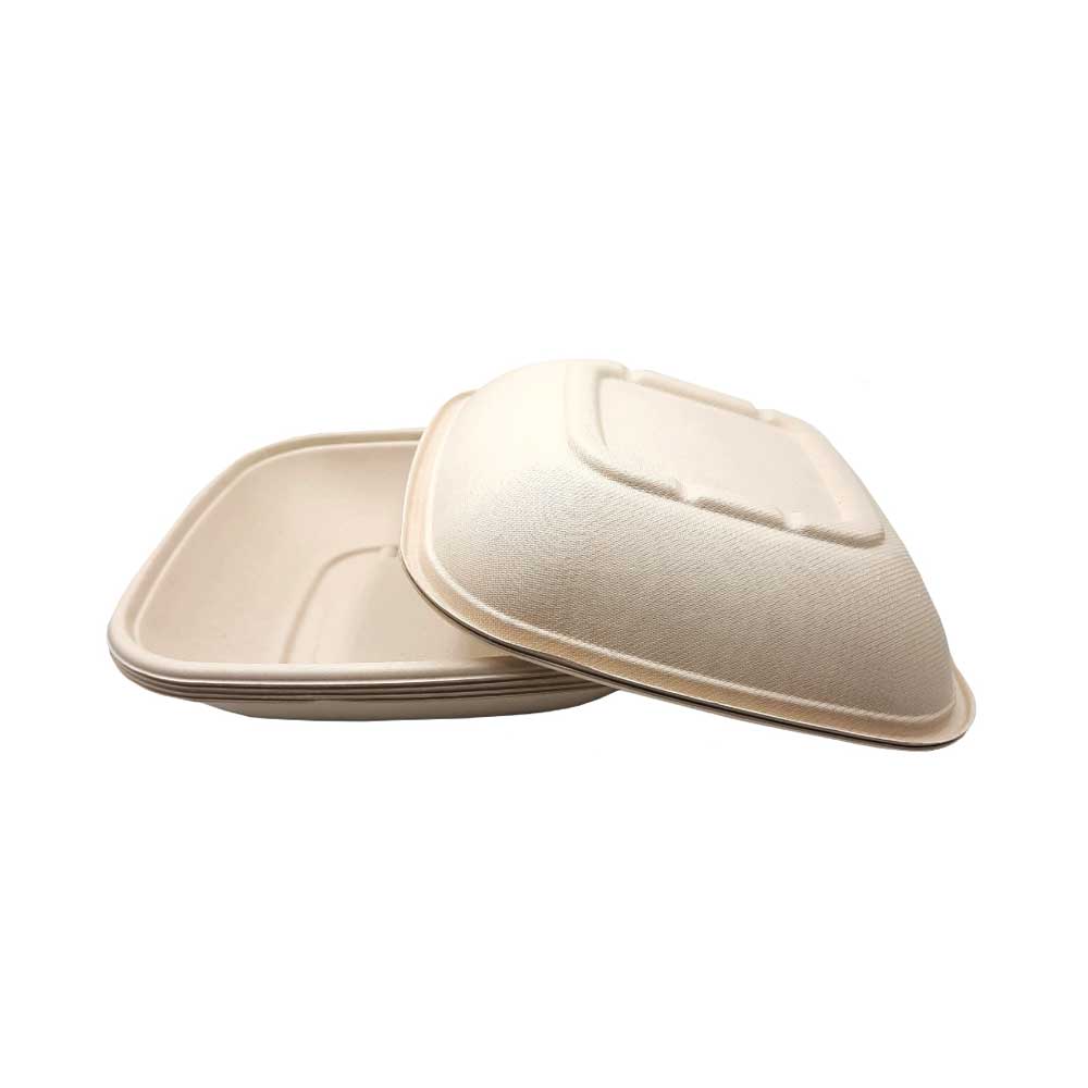 CB 32 BAGASSE CONTAINER WITH PET LID-CARTON OF 300 PCS