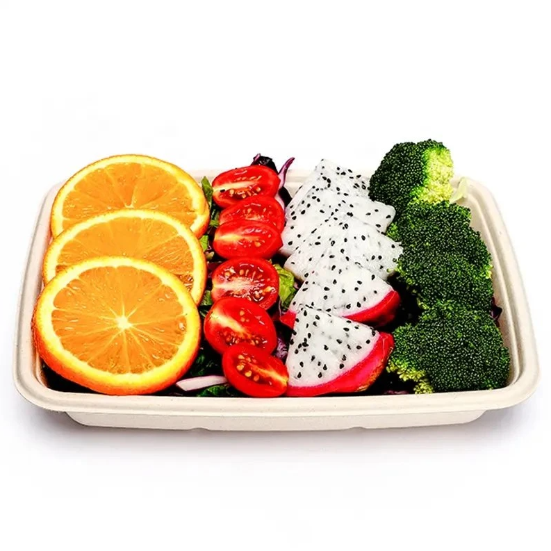 CR1000 RECTANGULAR BAGASSE CONTAINER WITH PET LID-CARTON OF 300 PCS