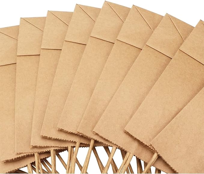 KRAFT PAPER BAG WITH TWISTED HANDLE