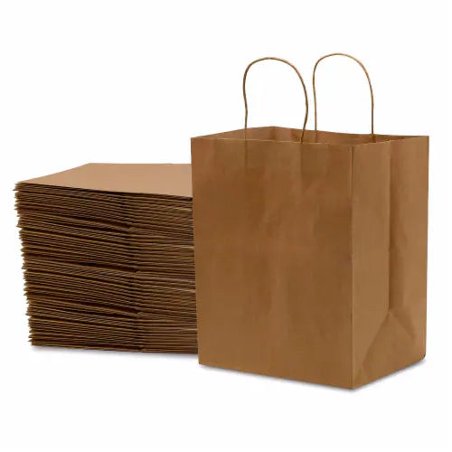 KRAFT PAPER BAG WITH TWISTED HANDLE-CARTON OF 250 PCS
