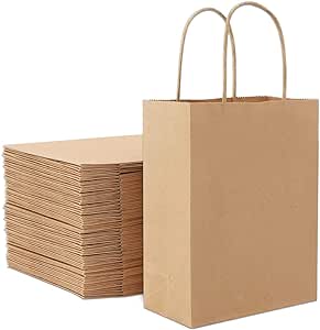 KRAFT PAPER BAG WITH TWISTED HANDLE-CARTON OF 250 PCS