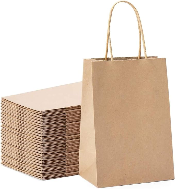 KRAFT PAPER BAG WITH TWISTED HANDLE-CARTON OF 250 PCS
