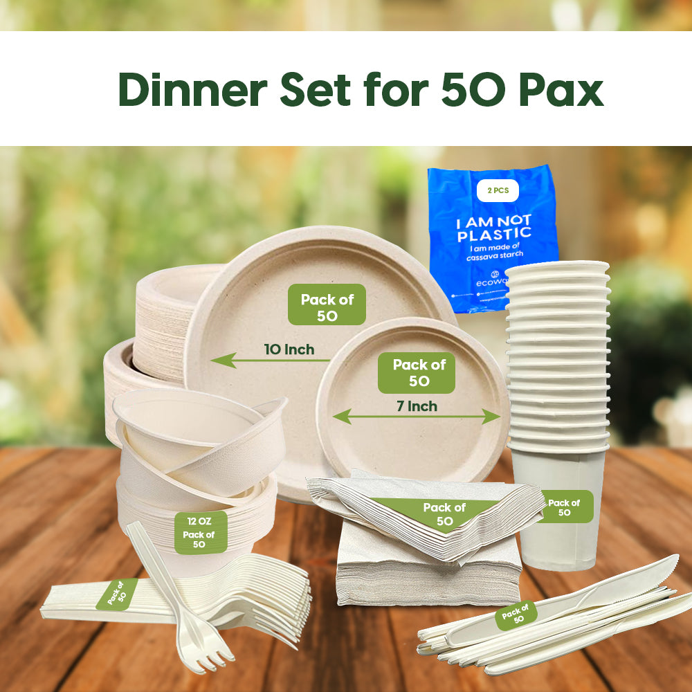 PARTY PACK FOR 50 PERSONS-NATURAL (PACK OF 452 PCS)