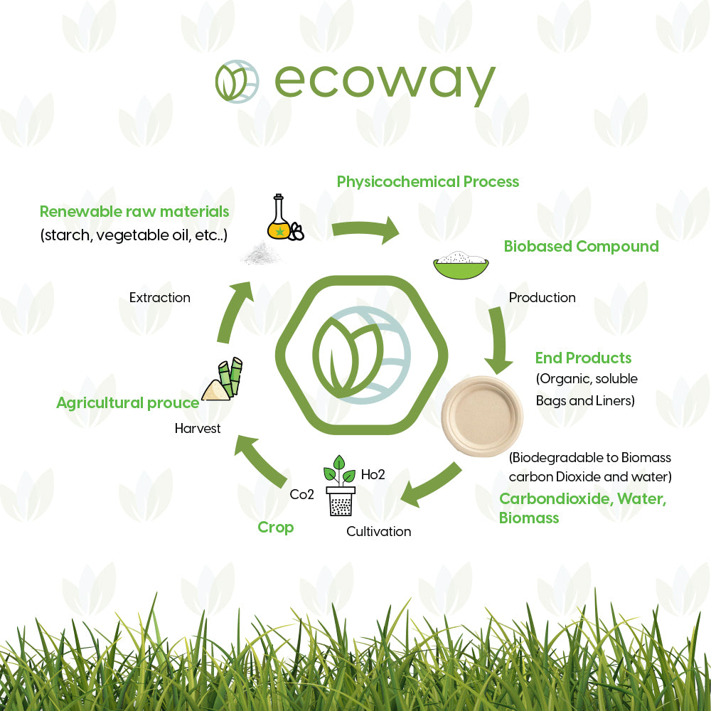 ECOWAY PARTY PACK FOR 30 PERSONS-NATURAL