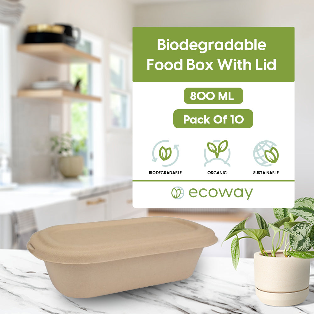BAGASSE FOOD BOX WITH LID 800ML