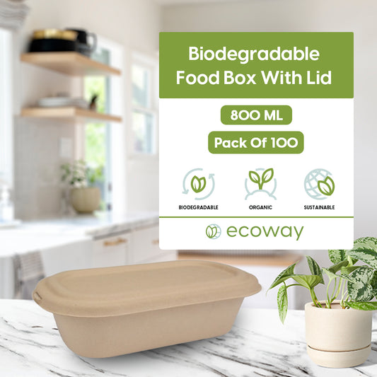 BAGASSE FOOD BOX WITH LID