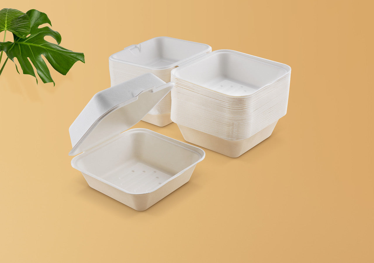 6 INCH-BAGASSE CLAMSHELL BURGER BOX-WHITE