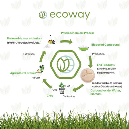 ecoway Compartment Disposable Plates 10Inch Heavy Duty Eco-Friendly 100% Natural Bagasse Fiber Biodegradable Compostable Sustainable Paper Alternative Plates [Pack on 100]