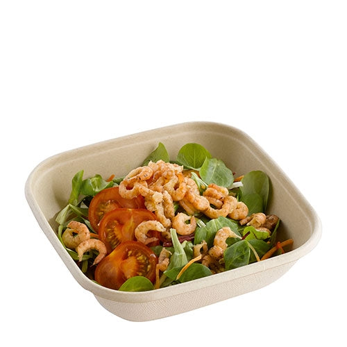 CB 48 BAGASSE CONTAINER WITH PET LID-PACK OF 300 PCS