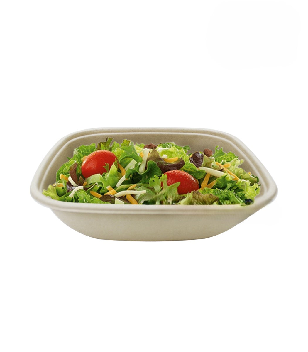 CB 48 BAGASSE CONTAINER WITH PET LID-PACK OF 300 PCS