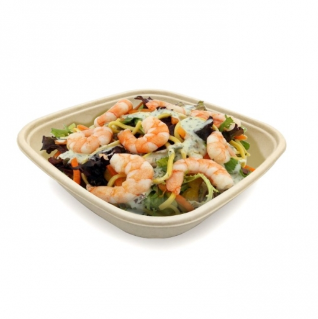 CB 48 BAGASSE CONTAINER WITH PET LID-PACK OF 300 PCS