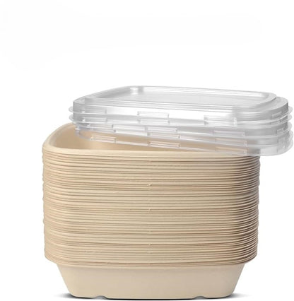 CR1000 RECTANGULAR BAGASSE CONTAINER WITH PET LID-PACK OF 300 PCS