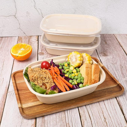 CR1000 RECTANGULAR BAGASSE CONTAINER WITH PET LID-PACK OF 300 PCS